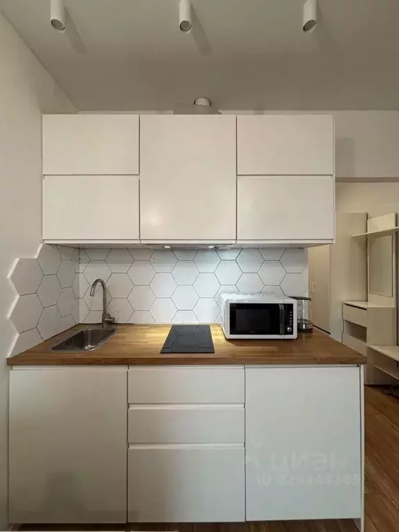 Студия Санкт-Петербург Усть-Славянка тер., ул. Заводская, 17 (22.3 м) - Фото 2