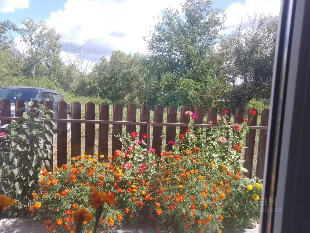 Дом в Воронежская область, Верхнехавский район, с. Правая Хава ... - Фото 1