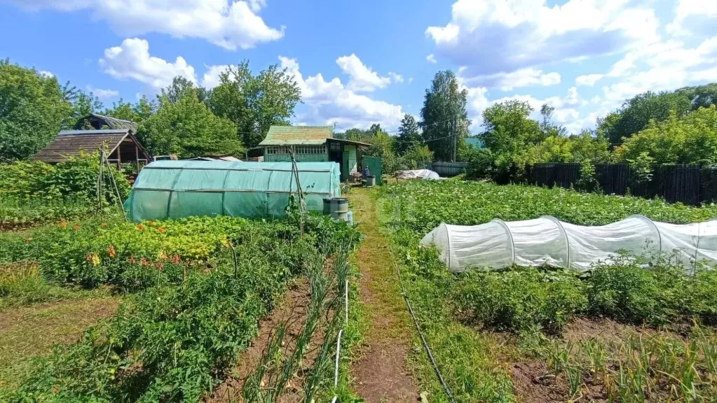 Дом в Брянская область, Брянск Десна-2 садовое общество, 156 (35 м) - Фото 0