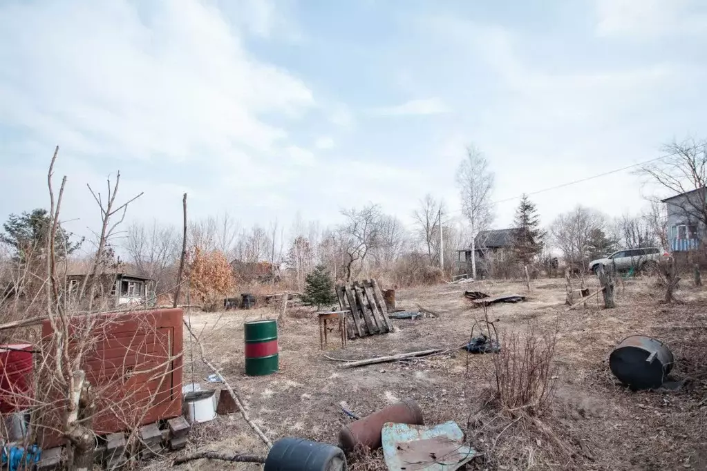 Участок в Приморский край, Надеждинский район, Голубая Нива СДТ  ... - Фото 1