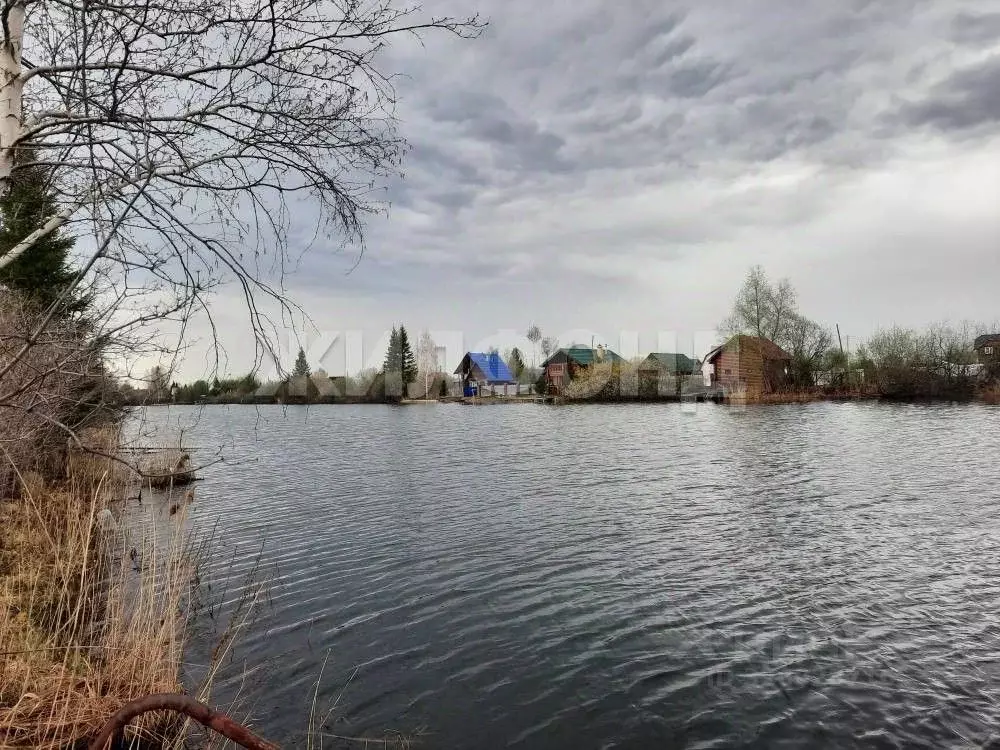 Участок в Новосибирская область, Колыванский район, Металлург СНТ ул. ... - Фото 2