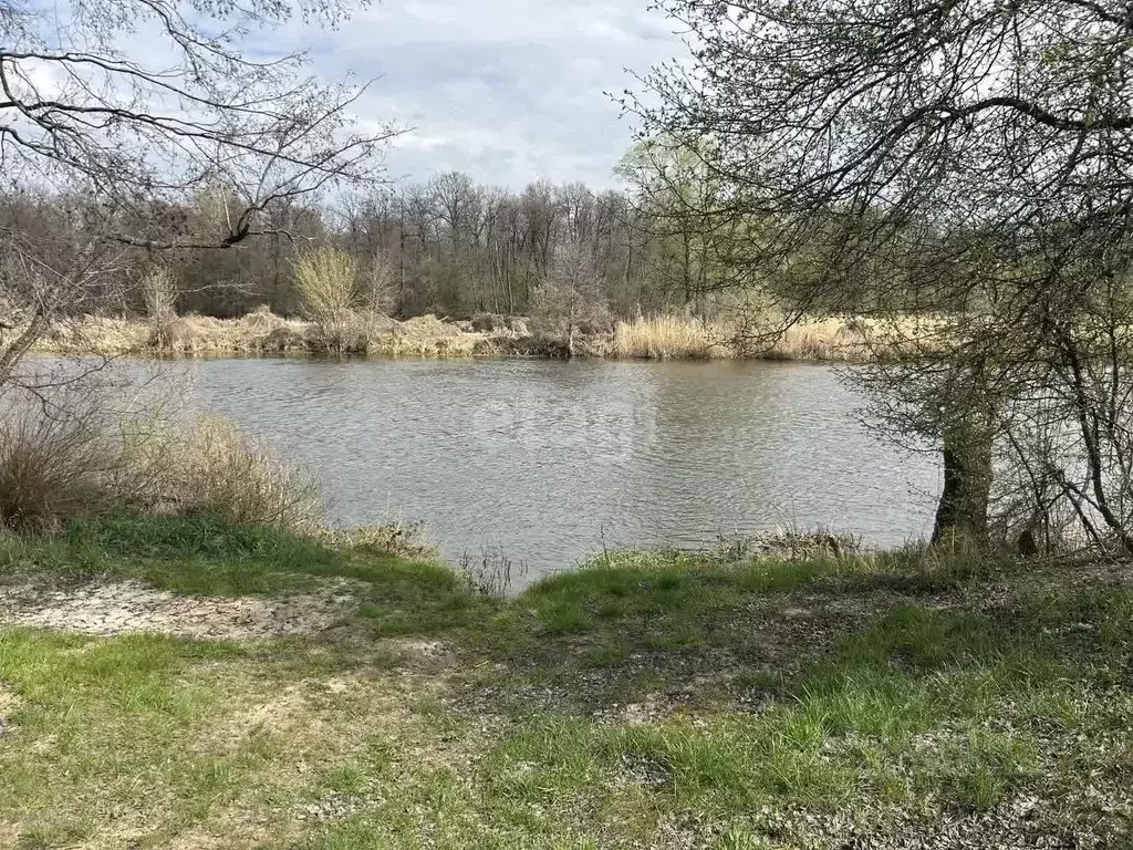 Участок в Воронежская область, Рамонский район, с. Березово ул. ... - Фото 0