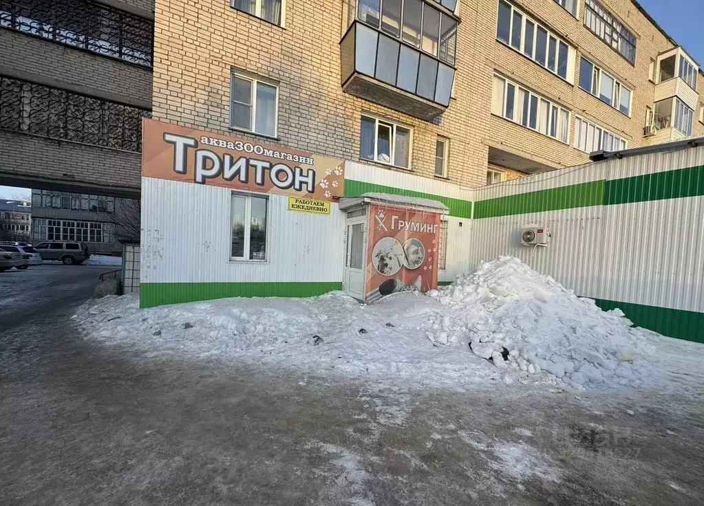 Офис в Новосибирская область, Бердск ул. Ленина, 11 (100 м) - Фото 1