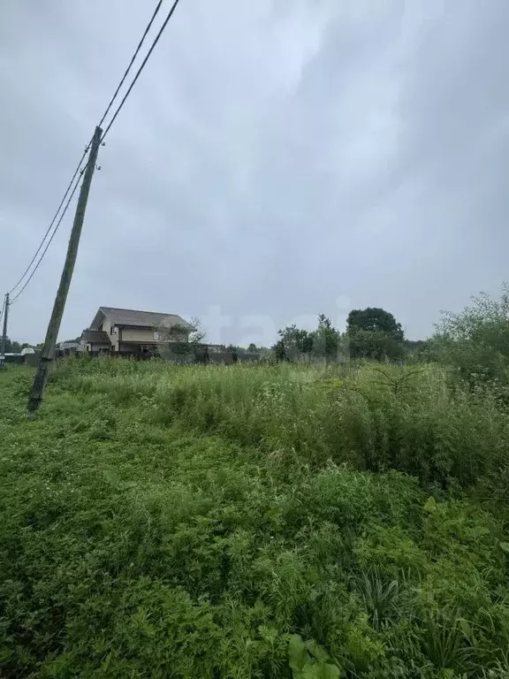 Участок в Приморский край, Артемовский городской округ, с. Кневичи ул. ... - Фото 0