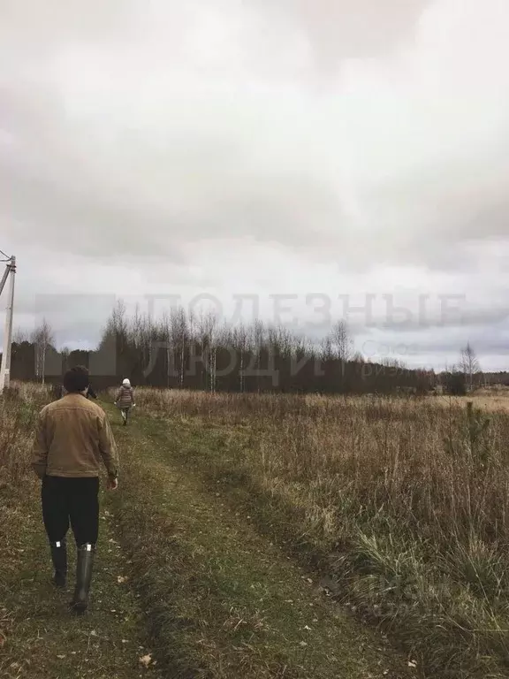 Участок в Новгородская область, Новгородский район, Савинское с/пос, ... - Фото 1