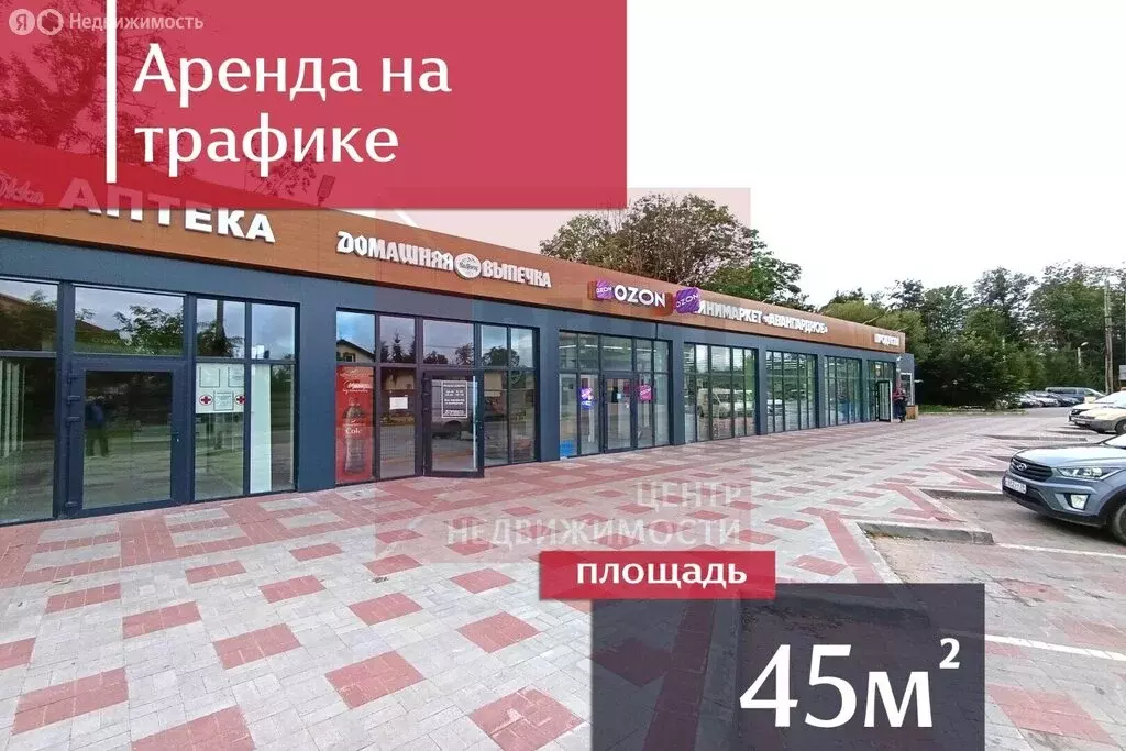 Помещение свободного назначения (45 м) - Фото 1