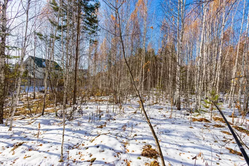 Участок в Тюменская область, Тюменский район, с. Перевалово Сиреневая ... - Фото 0