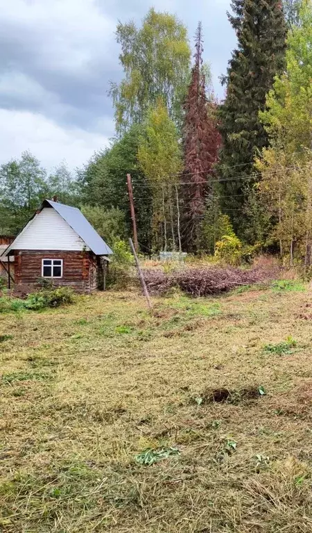 Участок в Пермский край, Чайковский городской округ, с. Ольховка ул. ... - Фото 0