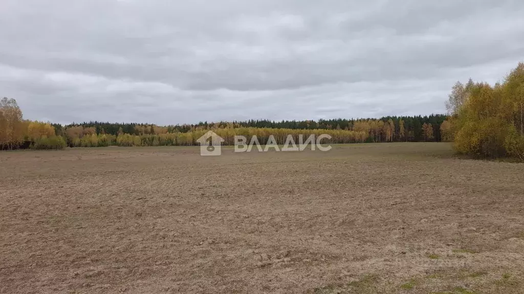 Участок в Нижегородская область, Павловский район, д. Самойловка  ... - Фото 1