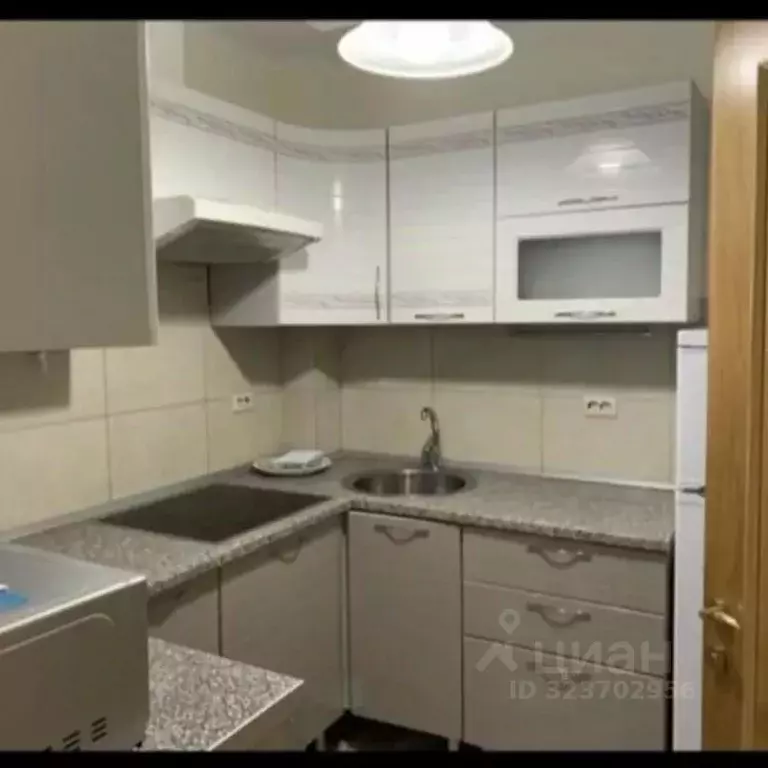 1-к кв. Краснодарский край, Сочи Новый Сочи мкр, ул. Бамбуковая (30.0 ... - Фото 2