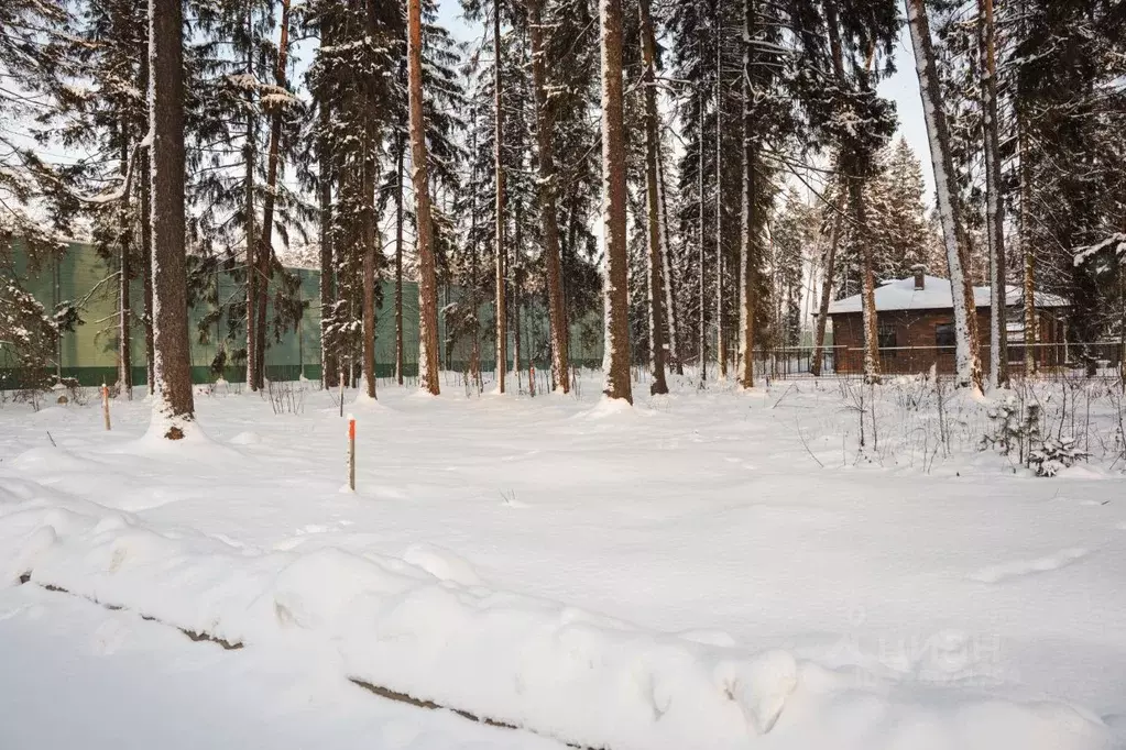 Участок в Московская область, Пушкино Чистые Пруды-3 кп,  (8.23 сот.) - Фото 1