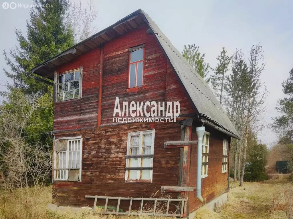 Участок в Мшинское сельское поселение, садоводческий массив Мшинская, ... - Фото 0