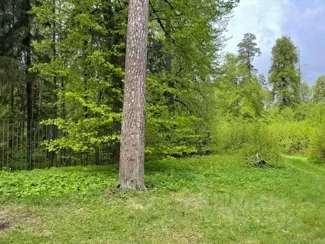 Участок в Московская область, Звенигород Одинцовский городской округ, ... - Фото 2