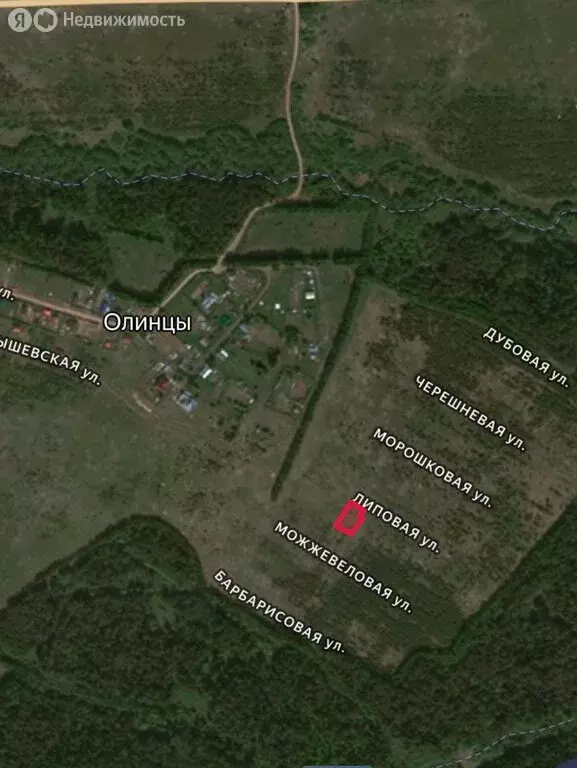 Участок в муниципальное образование Киров, деревня Олинцы, Липовая ... - Фото 1