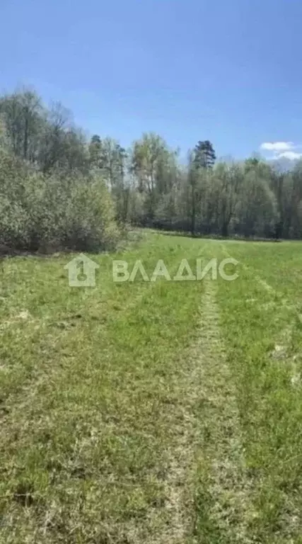 Участок в Московская область, Раменский городской округ, д. Тяжино 40 ... - Фото 0