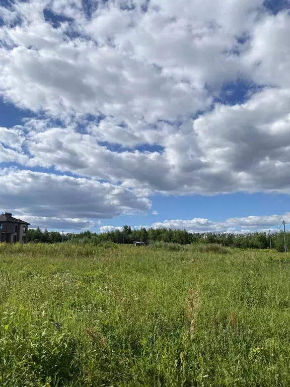 Участок в Нижегородская область, Богородский муниципальный округ, с. ... - Фото 0