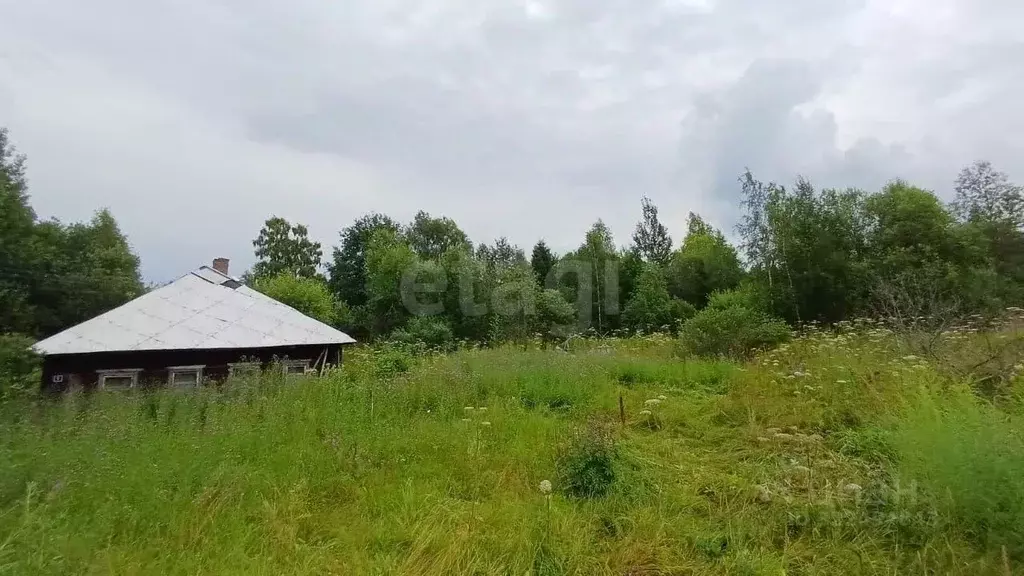 Участок в Вологодская область, Грязовецкий муниципальный округ, д. ... - Фото 2