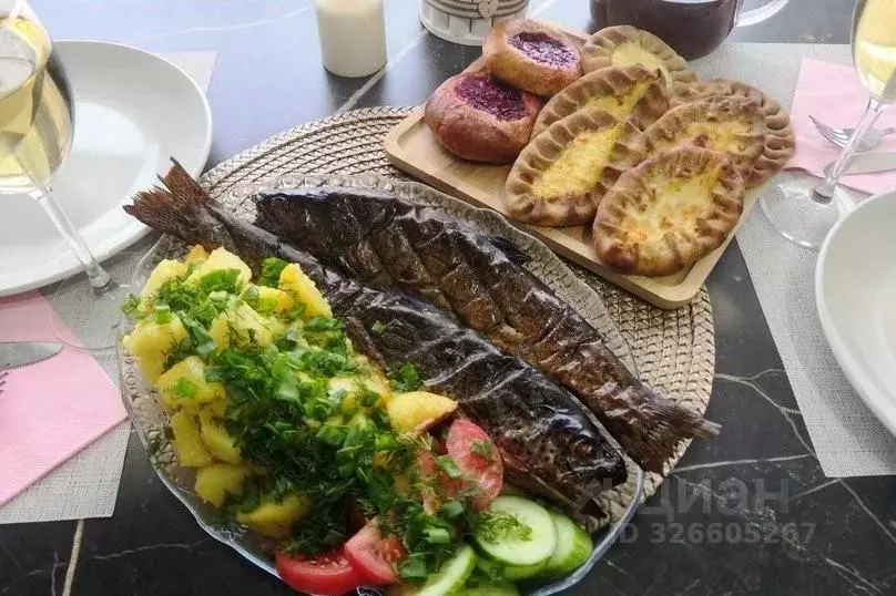 Дом в Карелия, Питкярантский муниципальный округ, д. Леппясилта 1Б (24 ... - Фото 1