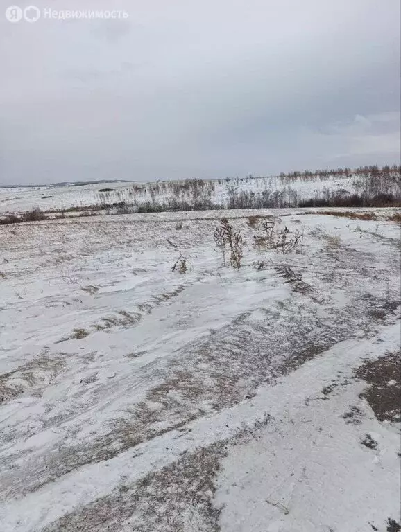 Участок в городской округ Красноярск, городской посёлок Берёзовка ... - Фото 1