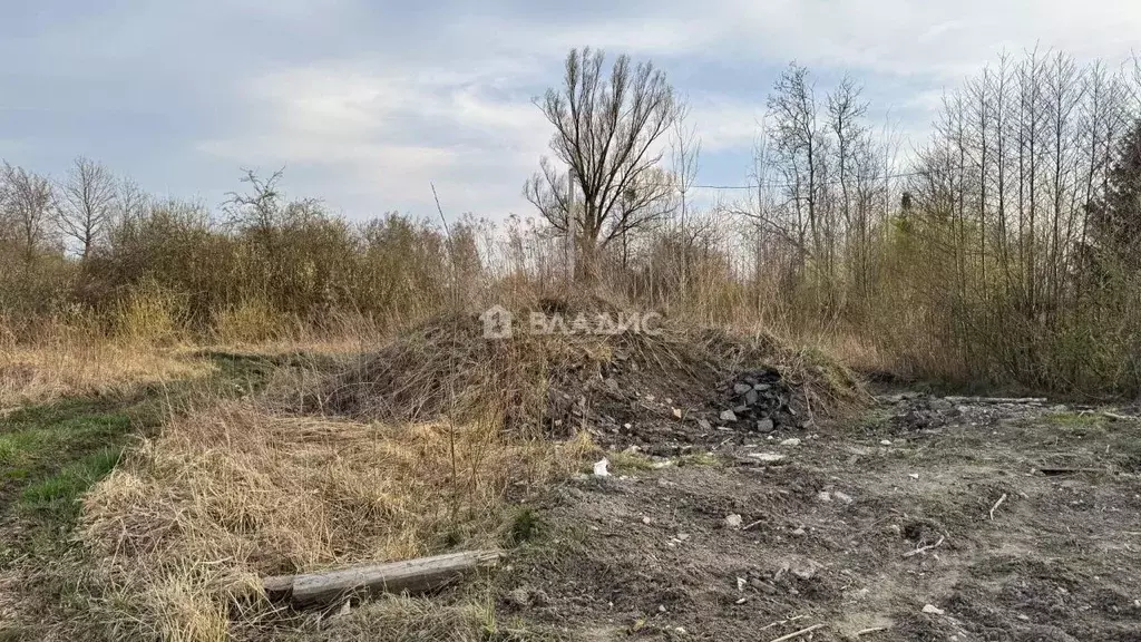 Участок в Калининградская область, Гурьевский муниципальный округ, ... - Фото 1