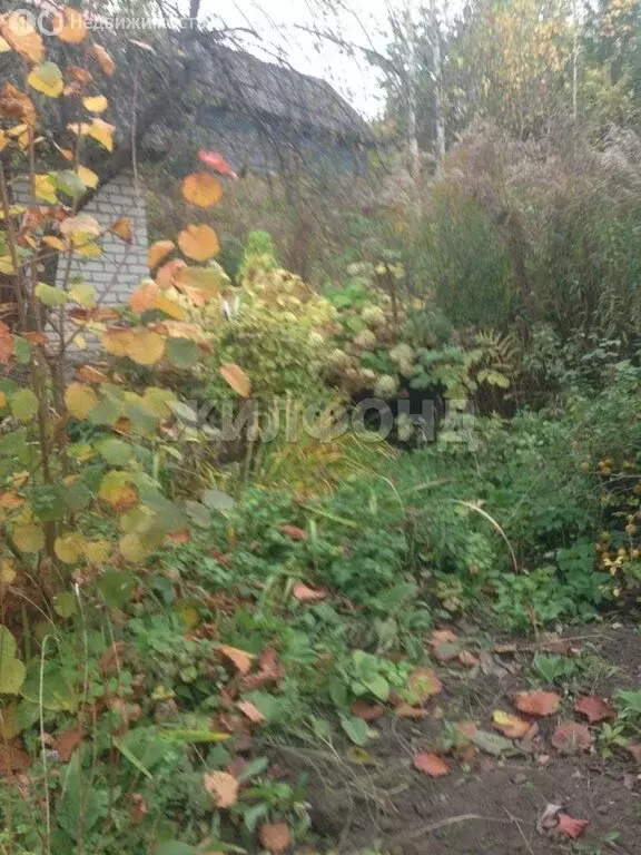 Участок в Чернетовское сельское поселение, СДТ Сад-8 Берёзка (3 м) - Фото 2