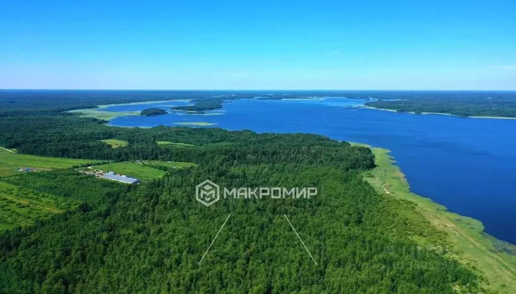 Участок в Ленинградская область, Приозерский район, Красноозерное ... - Фото 2