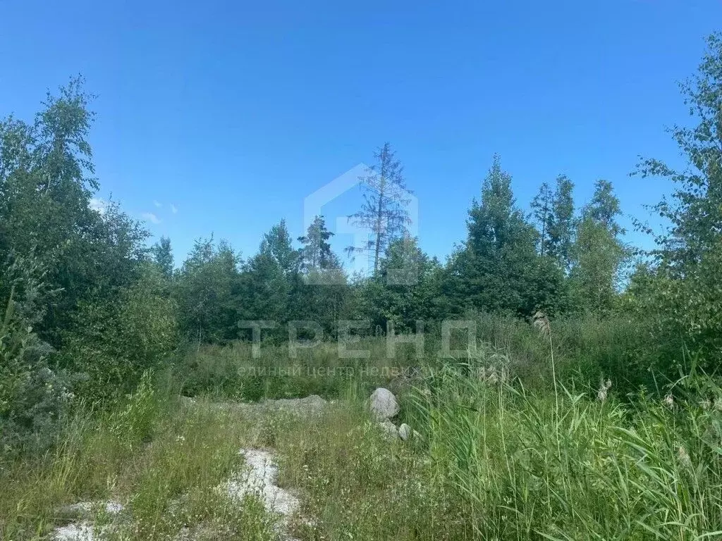 Участок в Ленинградская область, Шлиссельбург Кировский район, ул. ... - Фото 0