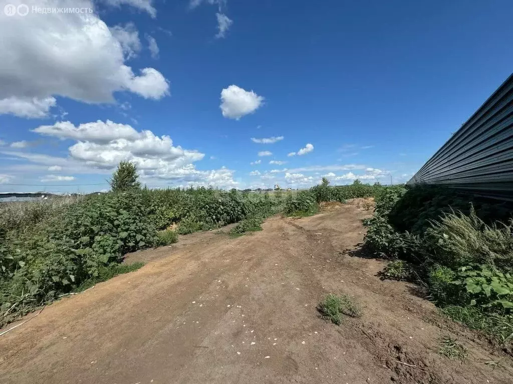 Участок в Подстепки, улица имени Александра Тюгаева (11.7 м) - Фото 2