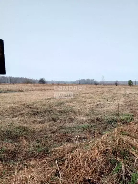 Участок в Тюменская область, Тюменский район, д. Малиновка  (10.0 ... - Фото 0