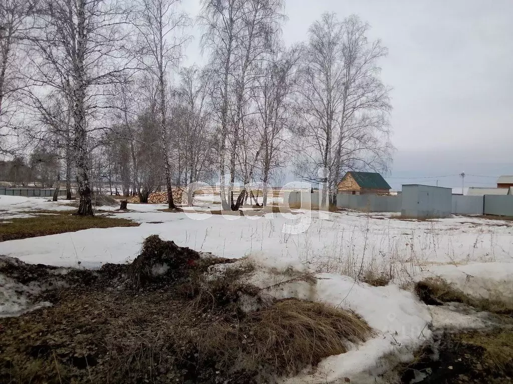 Участок в Тюменская область, с. Казанское ул. Комсомольская (12.0 ... - Фото 1