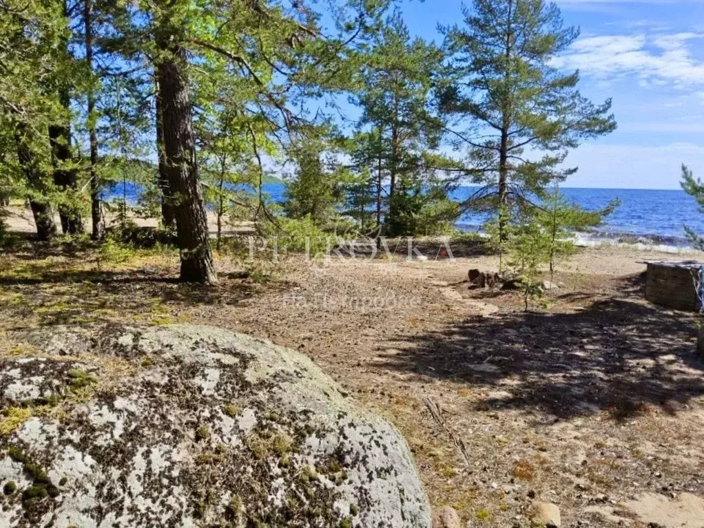 Участок в Карелия, Питкярантский муниципальный округ, д. Погранкондуши ... - Фото 2