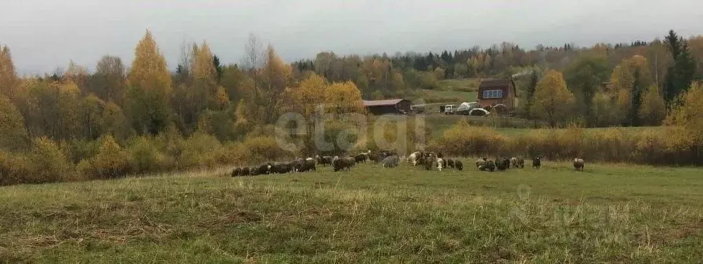 Участок в Псковская область, Струго-Красненский район, д. Замошье ... - Фото 1