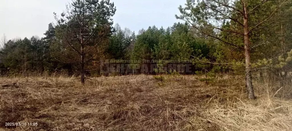 Участок в Смоленская область, Демидовский муниципальный округ, д. ... - Фото 1