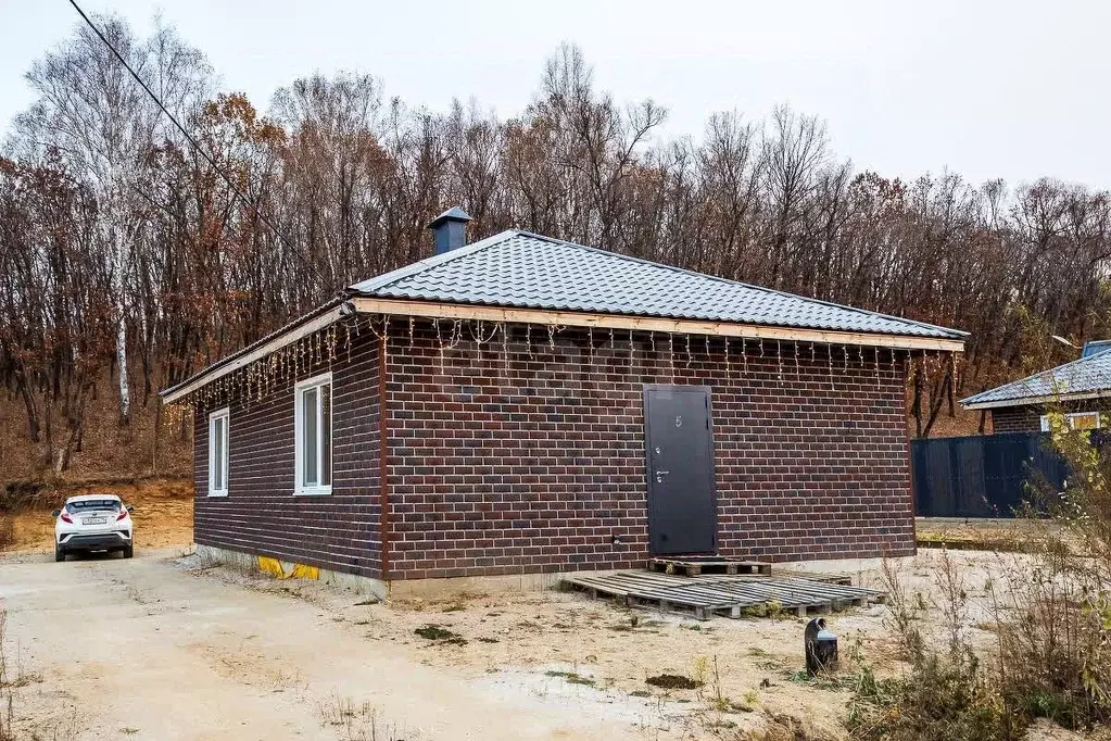 Дом в Амурская область, Благовещенский район, с. Чигири пер. Невский, ... - Фото 1