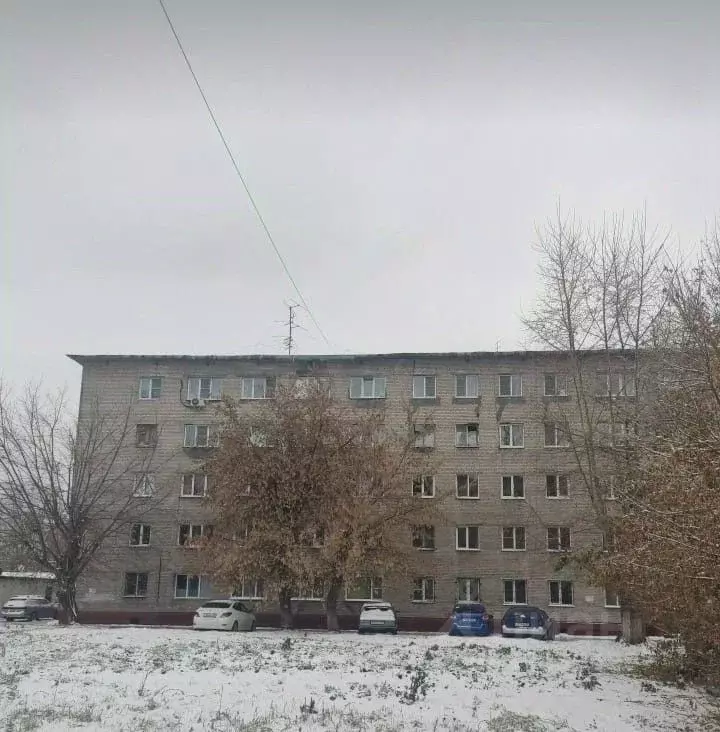 2-к кв. Алтайский край, Барнаул ул. Малахова, 66 (25.0 м) - Фото 2