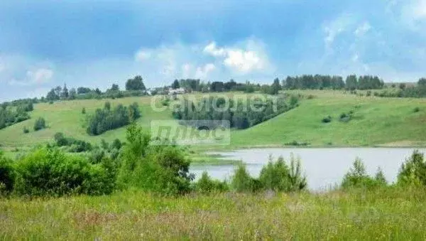 Участок в Нижегородская область, Лысковский район, с. Окишино Средняя ... - Фото 2