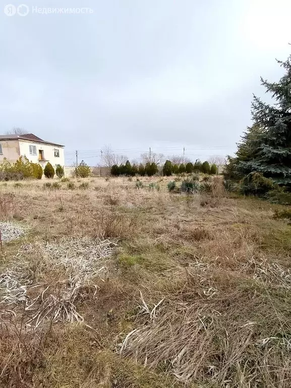 Участок в Литвиненково, Житомирская улица (7.72 м) - Фото 2