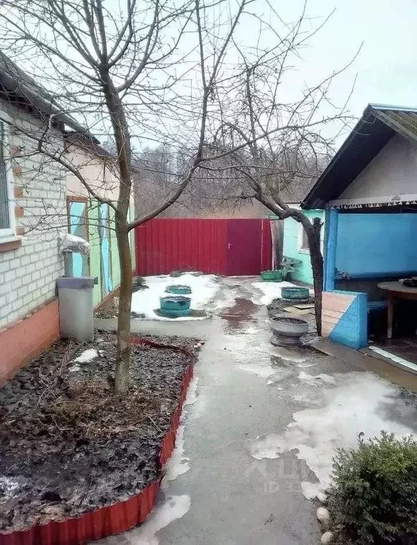 Дом в Белгородская область, Новый Оскол ул. Мира, 196 (80 м) - Фото 2