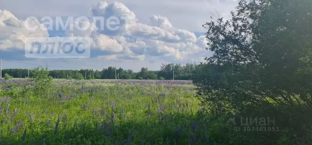 Участок в Владимирская область, Петушинское муниципальное образование, ... - Фото 1