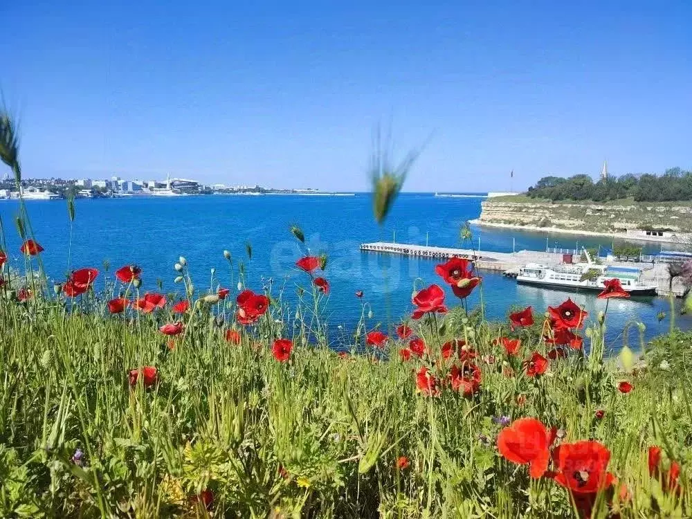 Дом в Севастополь ул. Инженерная Балка, 14 (45 м) - Фото 1