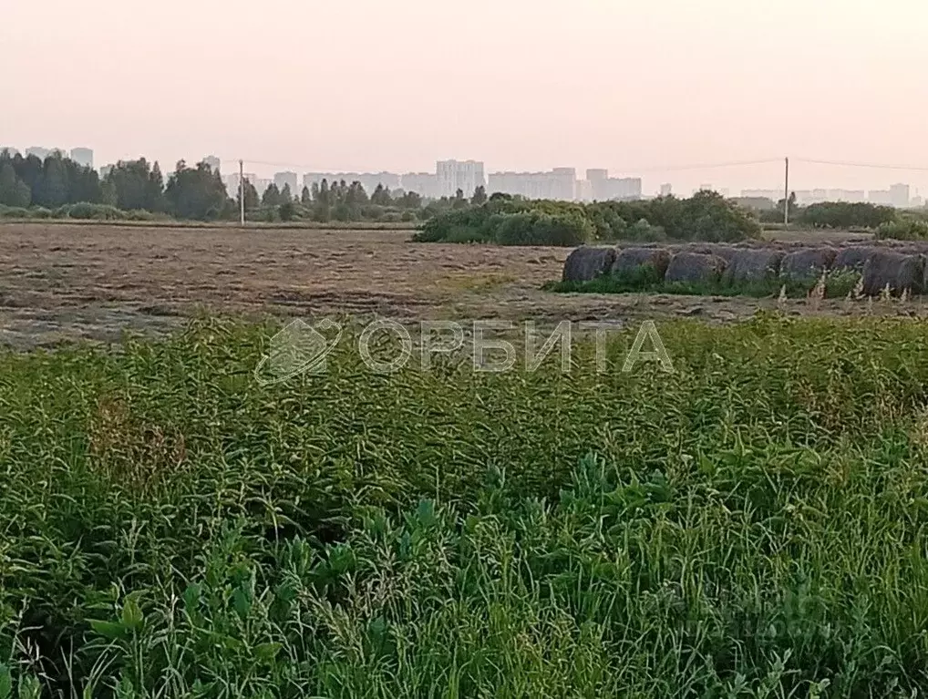 Участок в Тюменская область, Тюмень  (7.0 сот.) - Фото 2