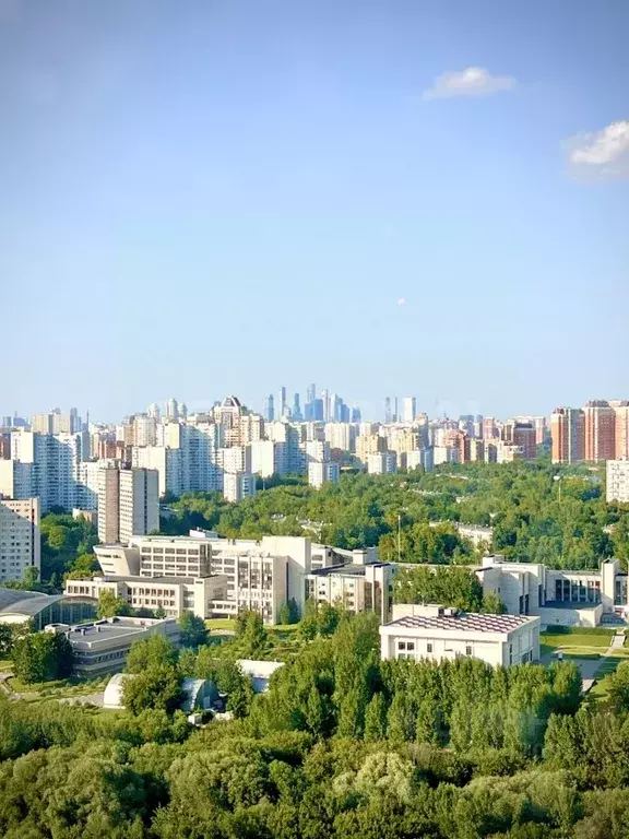 3-к кв. Москва просп. Вернадского, вл78 (129.0 м) - Фото 0