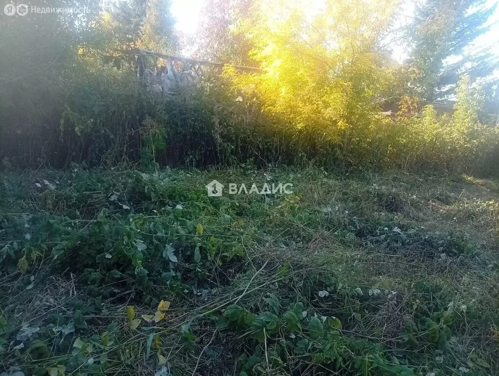 Участок в Иркутский муниципальный округ, деревня Грановщина (9 м) - Фото 1