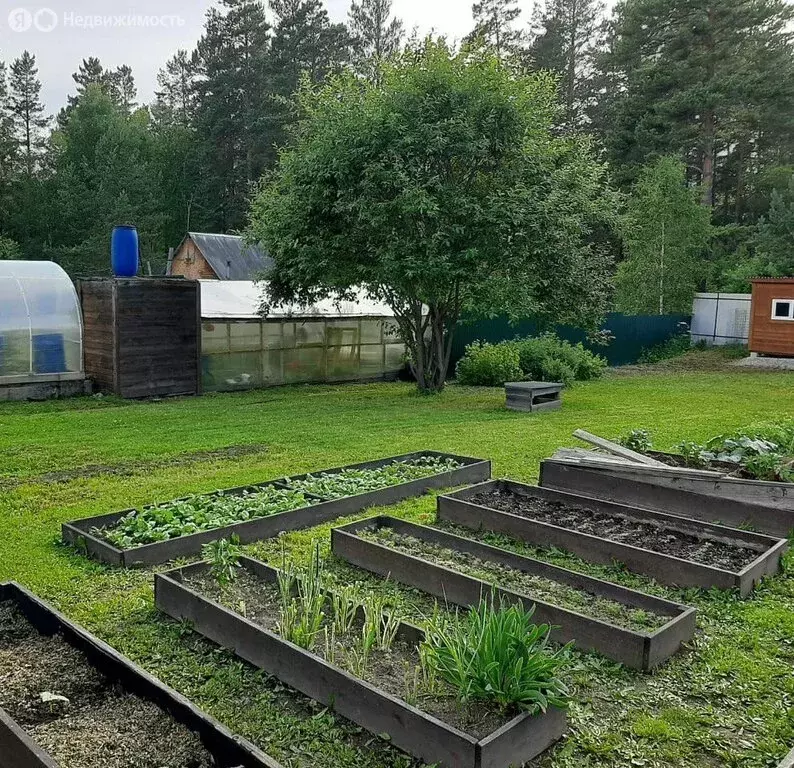 Участок в Иркутск (8 м) - Фото 0