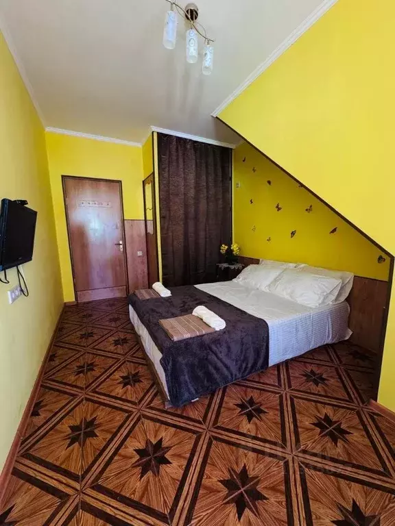 Комната Краснодарский край, Сочи ул. Ленина, 219/11 (14.0 м) - Фото 0