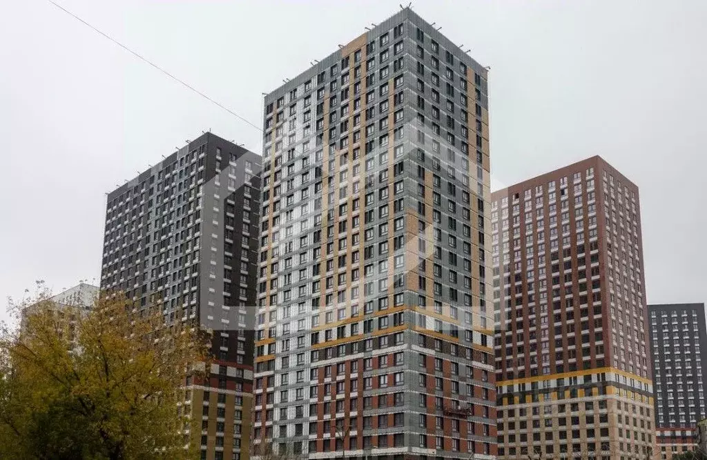 Помещение свободного назначения в Московская область, Котельники Белая ... - Фото 2