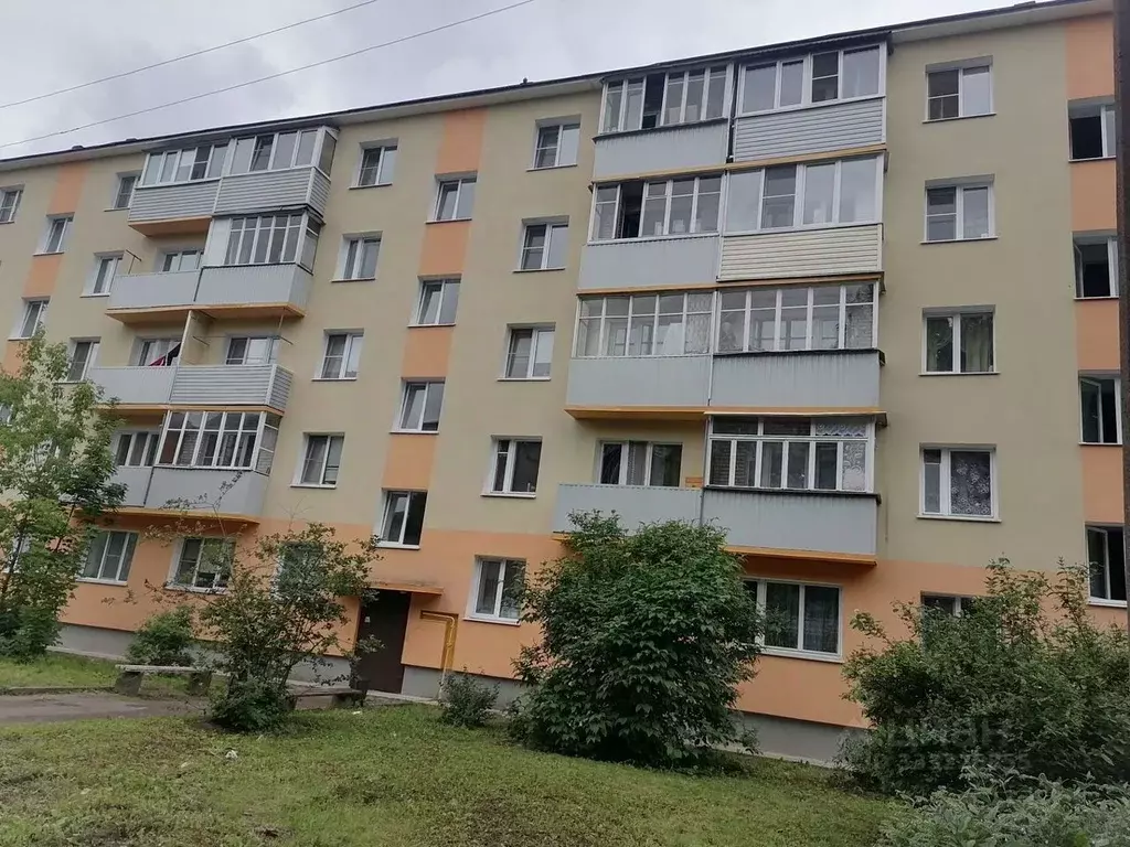 2-к кв. Ленинградская область, Бокситогорск ул. Вишнякова, 30 (44.0 м) - Фото 1
