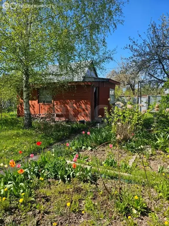 Дом в Тула, СНТ Сокол (20 м) - Фото 1