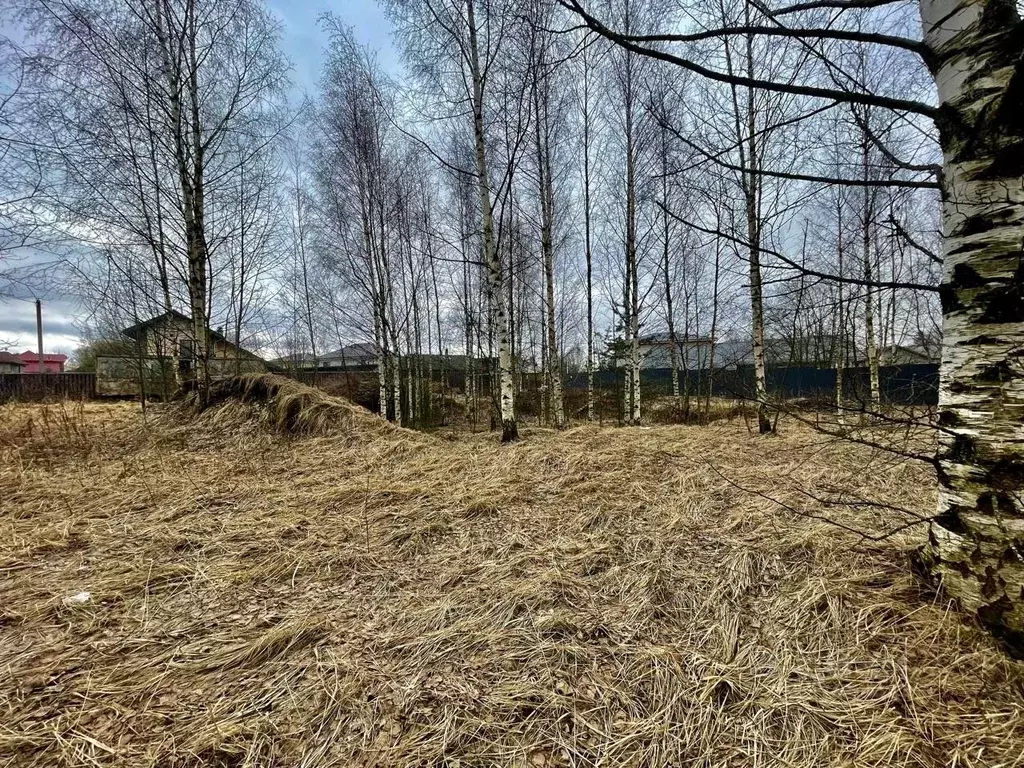 Участок в Ленинградская область, Всеволожский район, Заневское ... - Фото 0