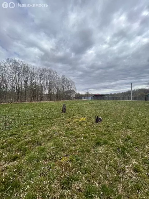 Участок в деревня Тарасово, 14-я линия (10 м) - Фото 2